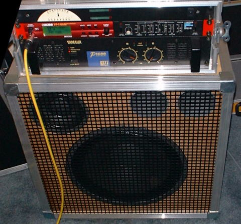 Diy bass best sale guitar cabinet